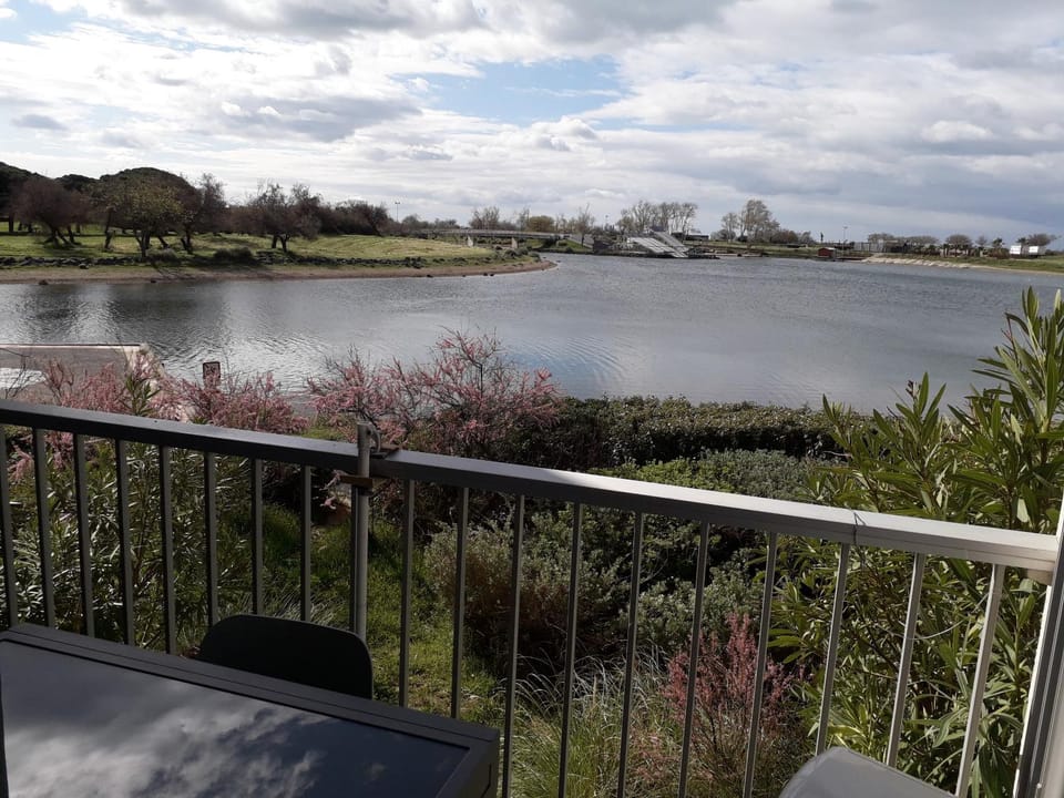 Lake view
