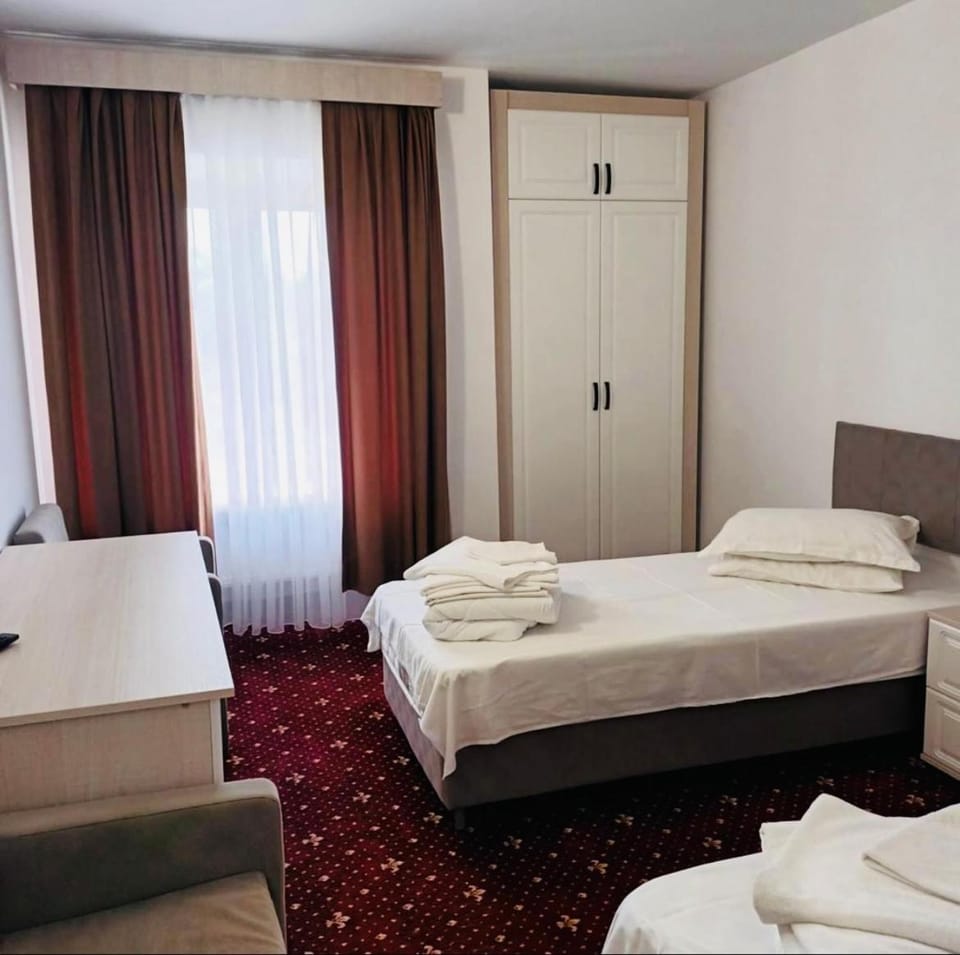 Hotel Silvana Hotel in Timiș County