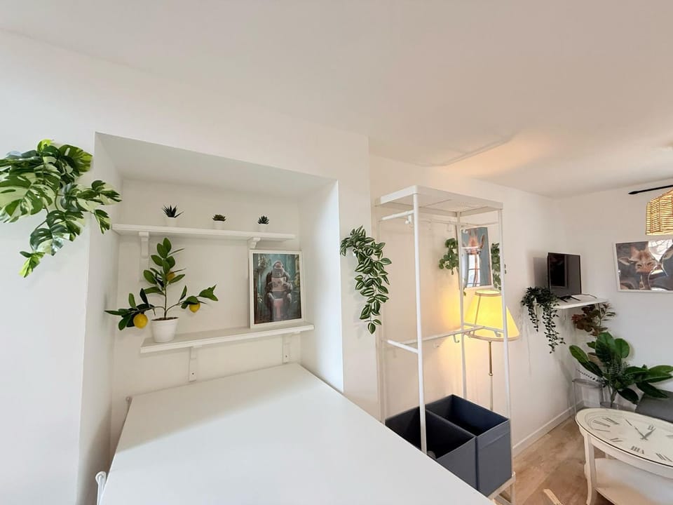 Cosy Corail - T2 - Place Verdun Apartment in Pau