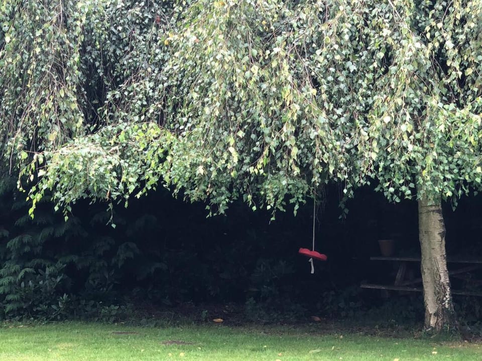 Stag Cottage New Forest Romantic Hideaway House in Burley