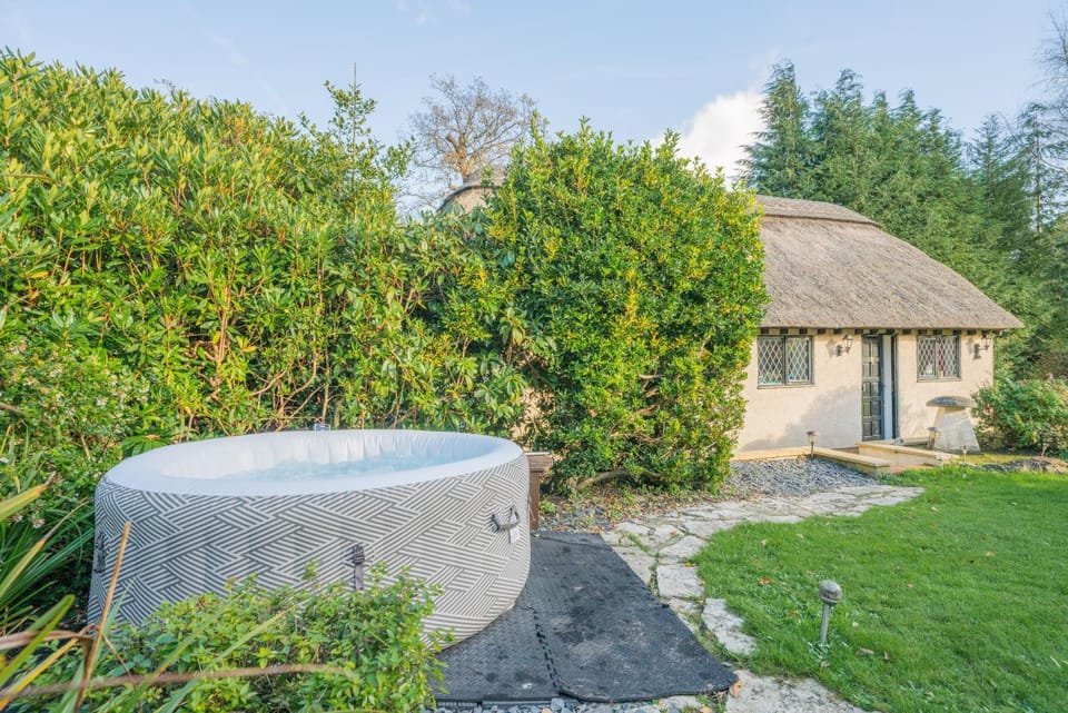 Natural landscape, Garden, Garden view