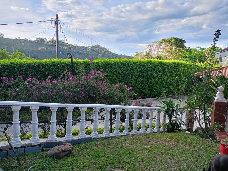 View (from property/room)