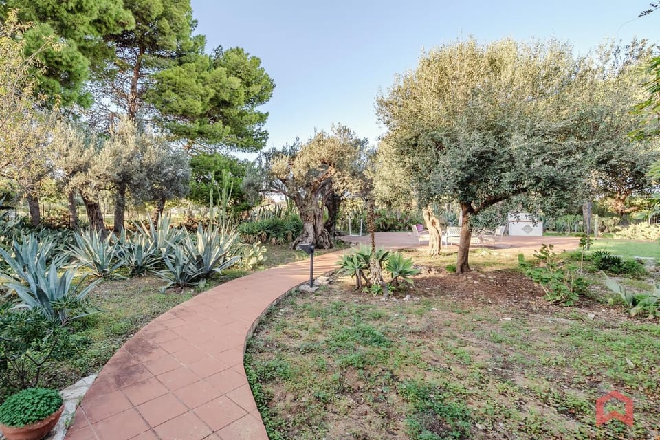Spring, Day, Natural landscape, Garden, Garden view