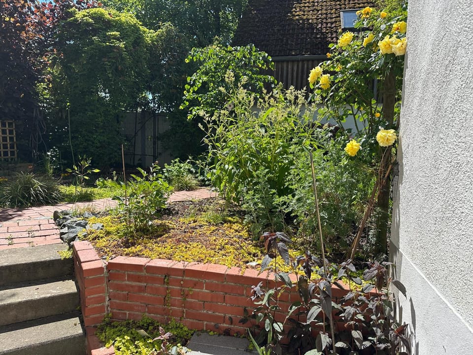 Inner courtyard view