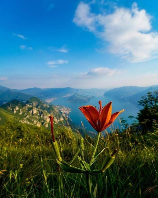 Day, Natural landscape, Lake view