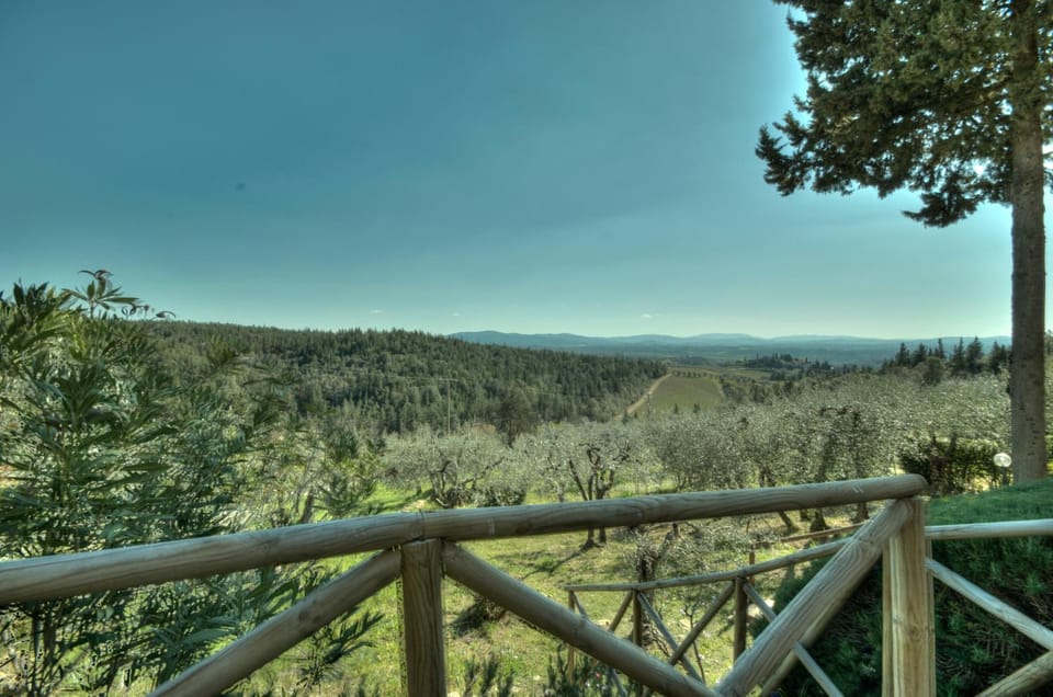 Natural landscape