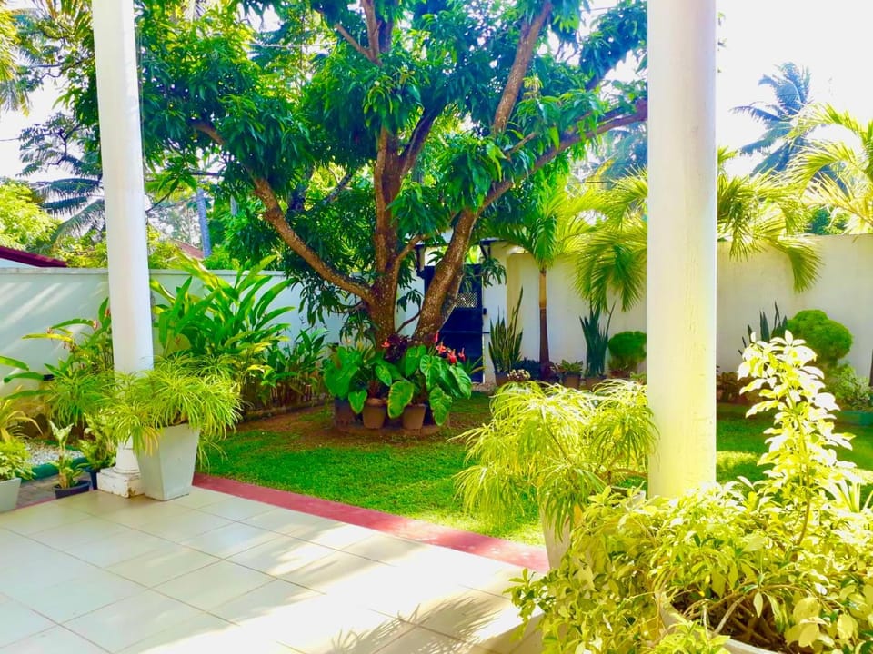 Spring, Day, Garden, Garden view