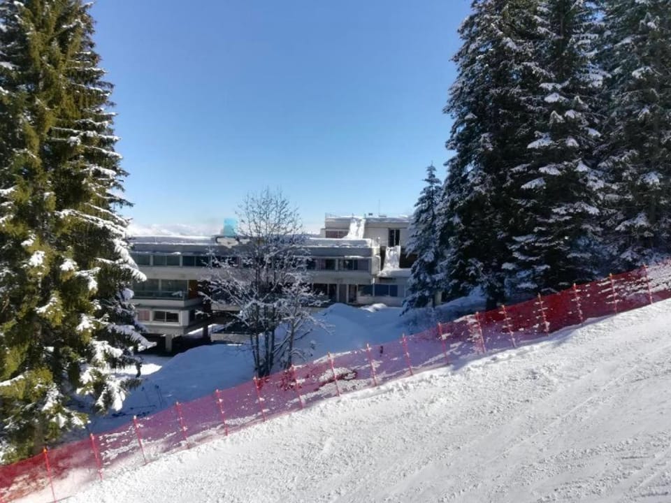 Skiing, Skiing