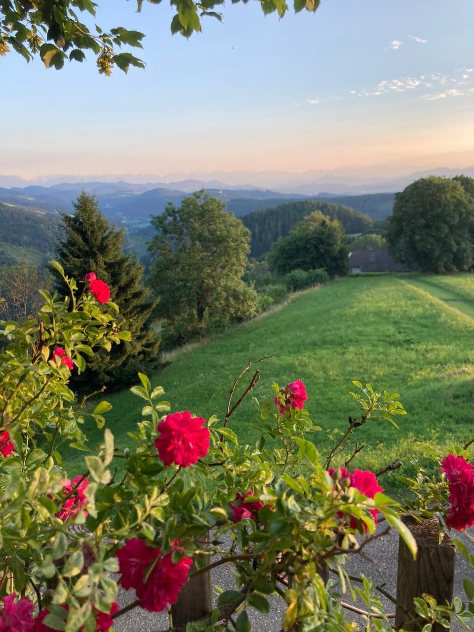 Natural landscape, Garden view, Mountain view