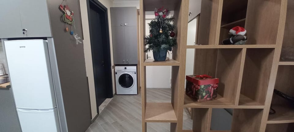 Kitchen or kitchenette, washing machine