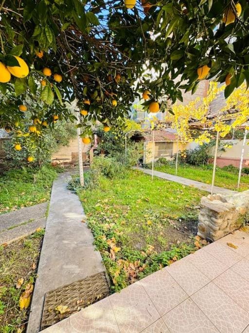 Maison centre ville avec jardin House in Perpignan
