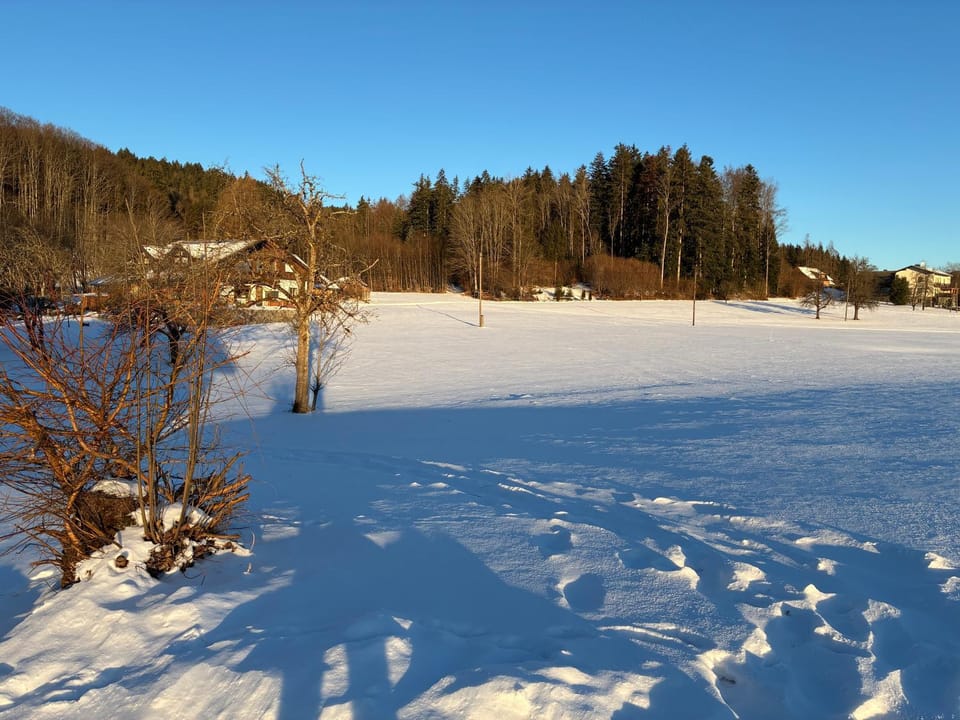 Natural landscape, Winter