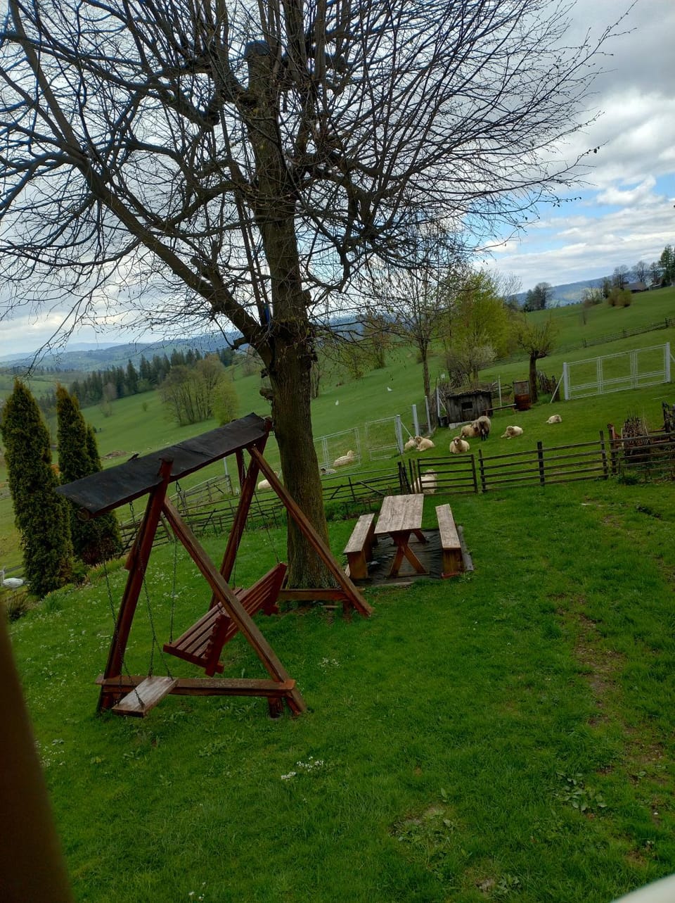 Spring, Activities, Activities, Garden, Animals, Animals, Garden view, Area and facilities, Seasons, Time of day