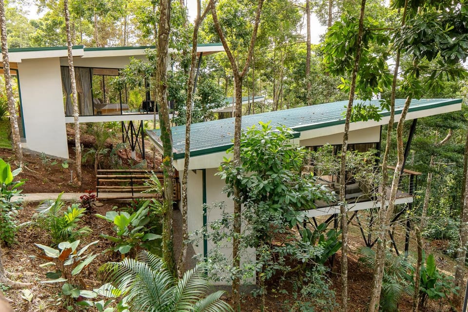 Property building, Day, Natural landscape, Garden, Garden view