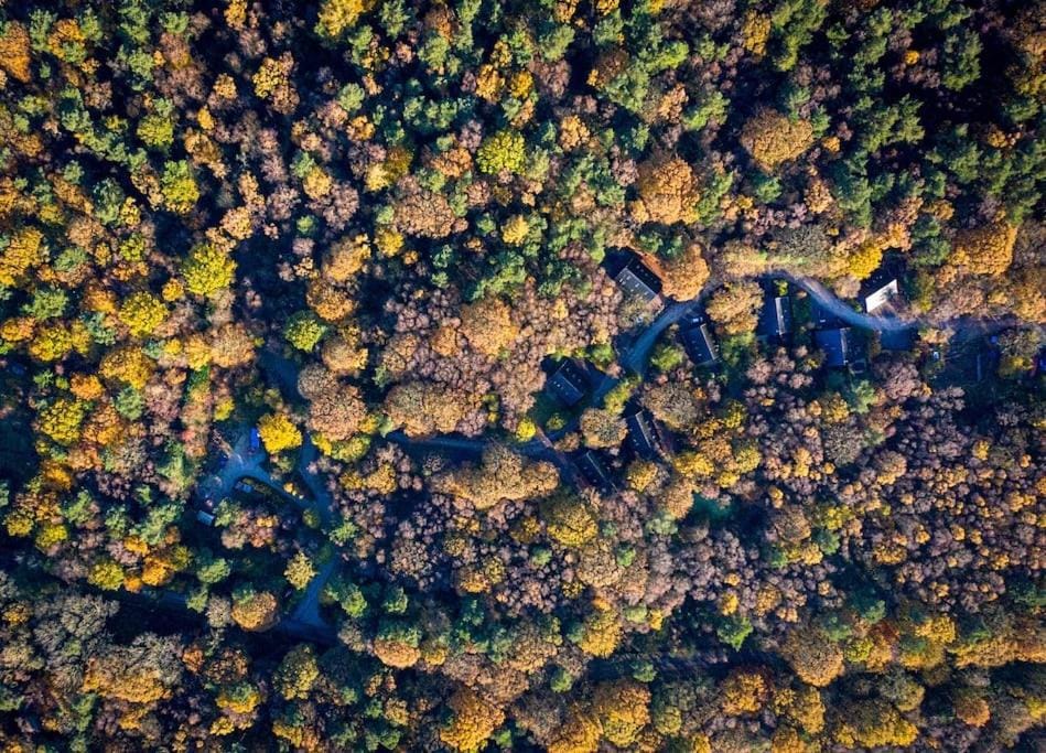 Natural landscape
