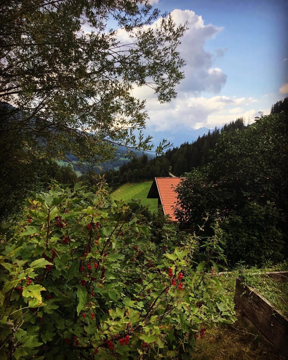 Natural landscape