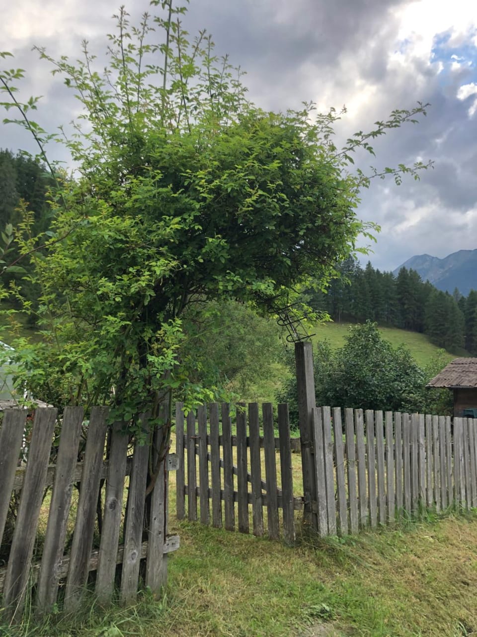 Natural landscape
