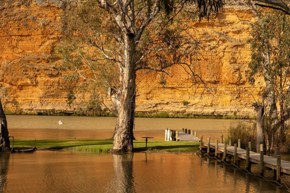 The Birds Nest at Caurnamont House in South Australia