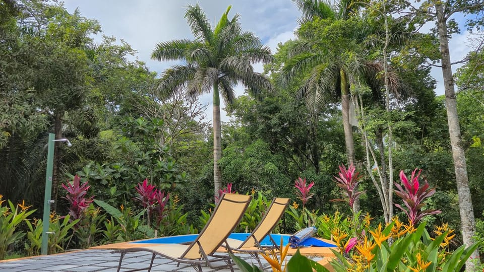 Garden, Garden view, Pool view
