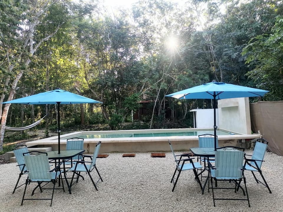 Patio, Spring, Day, Natural landscape, Garden, Garden view, Pool view, Swimming pool, sunbed