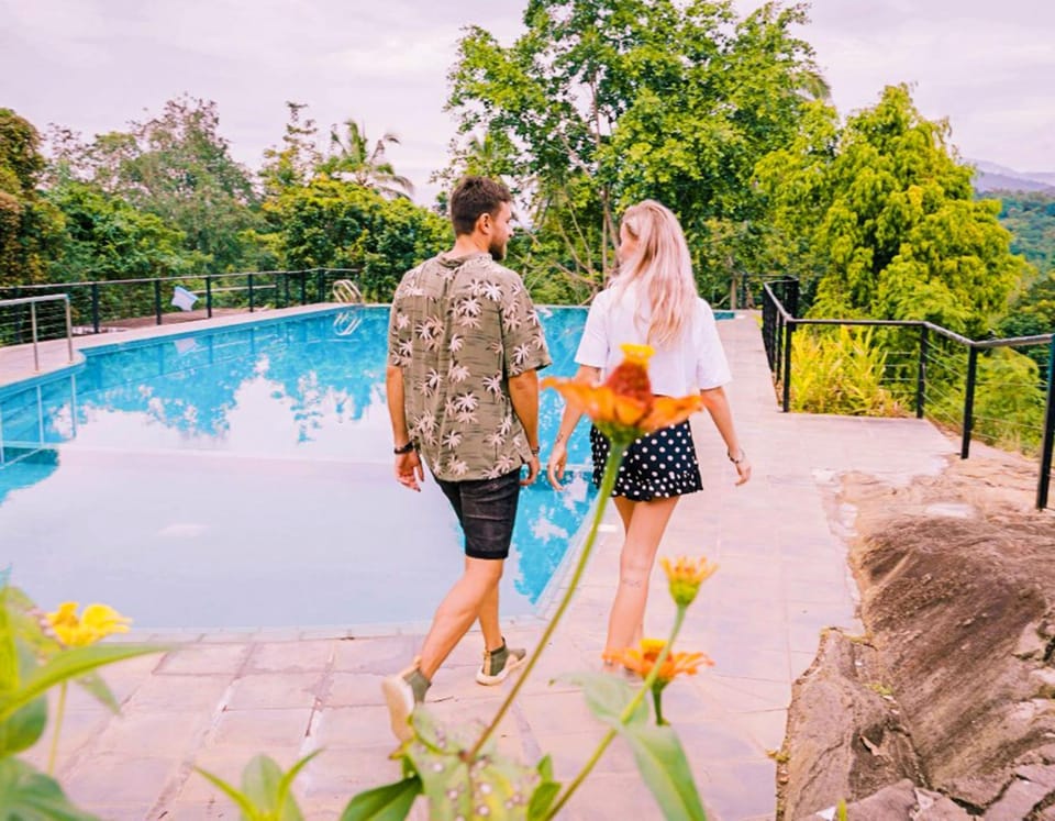Guests, Pool view, Swimming pool