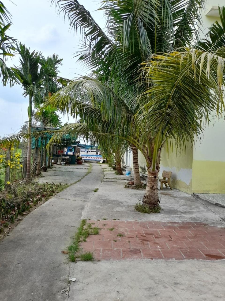 Neighbourhood, Garden