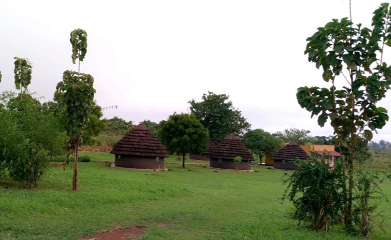 Day, Garden view
