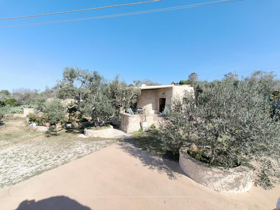 Property building, Spring, Day, Garden, Garden view