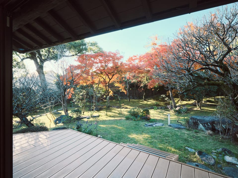 Day, Natural landscape, Garden, Balcony/Terrace, Garden view