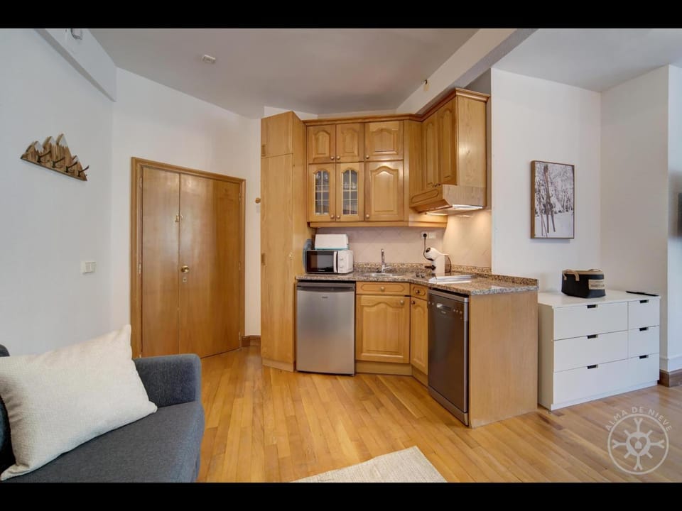 ANEC de Alma de Nieve Apartment in Baqueira