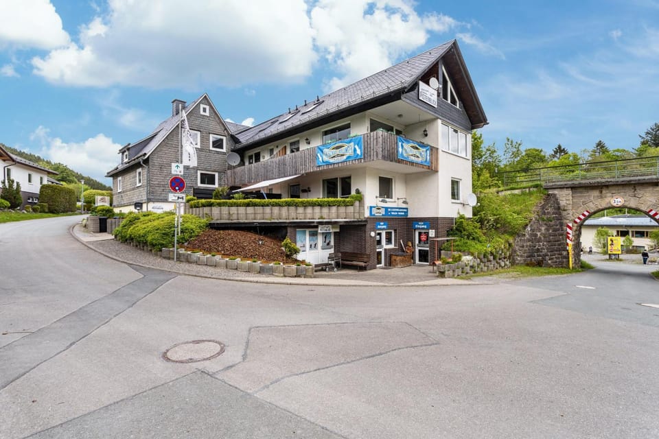 Pistenblick Apartment in Willingen