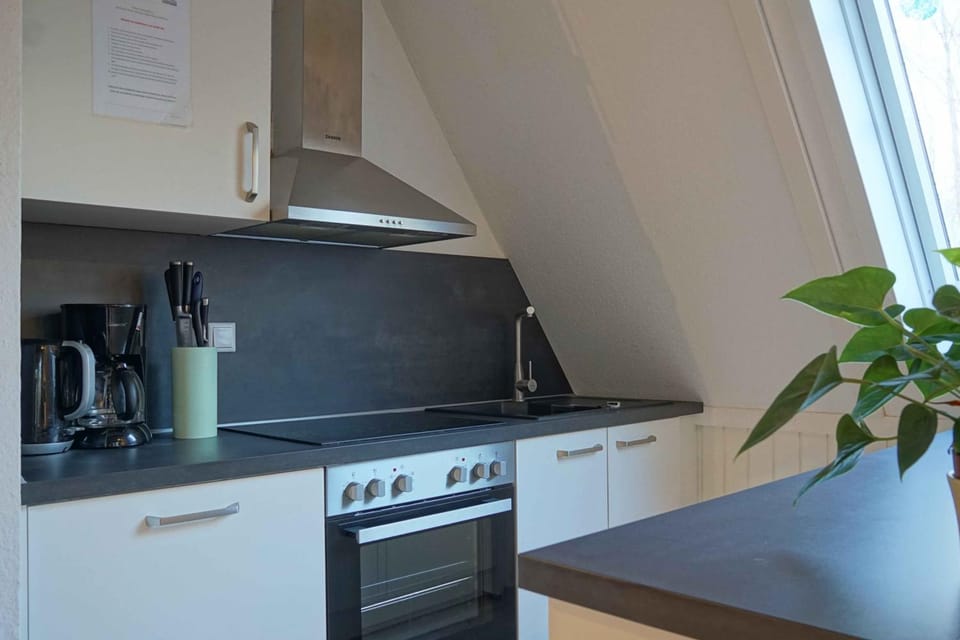 Kitchen or kitchenette, stove