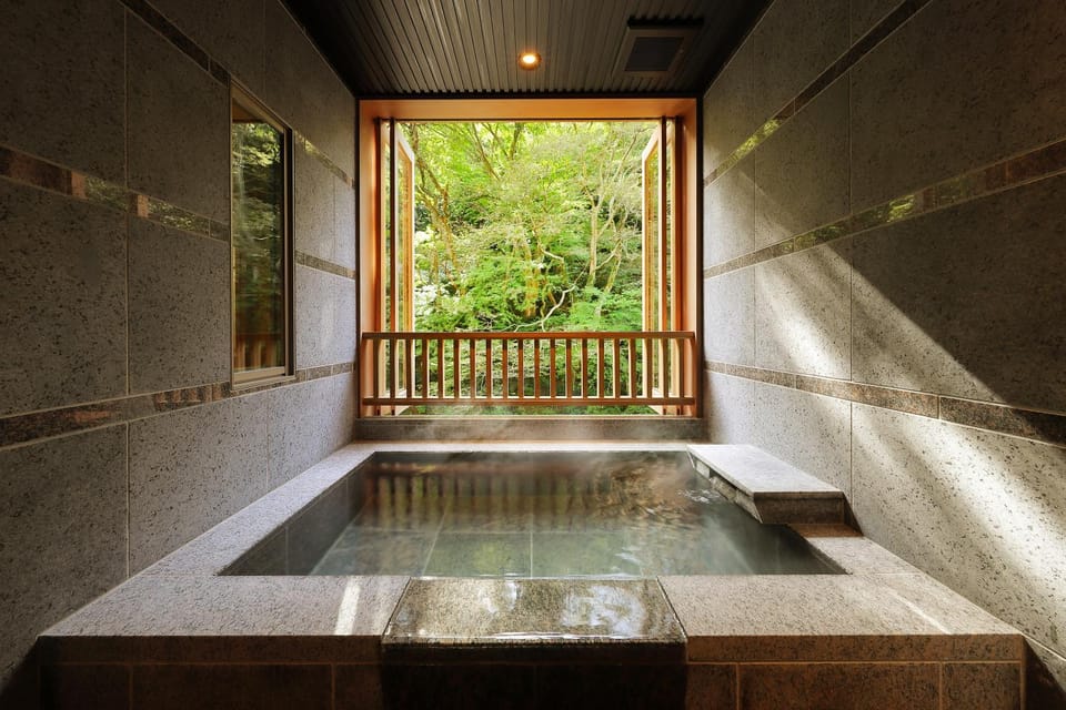 Hot Spring Bath, View (from property/room), Photo of the whole room, Open Air Bath