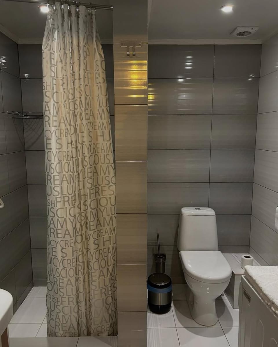 Shower, Toilet, hair dryier