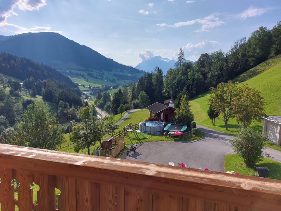 Viehhofbauer Appartements Apartment in Salzburgerland
