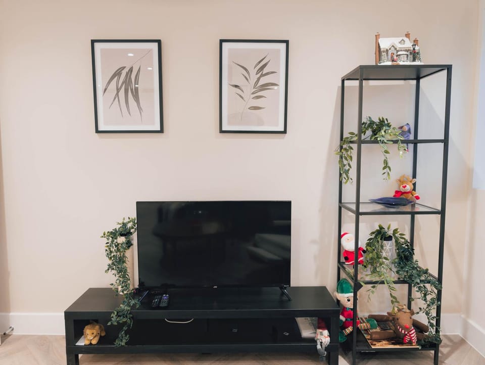 Communal lounge/ TV room, TV and multimedia, Evening entertainment
