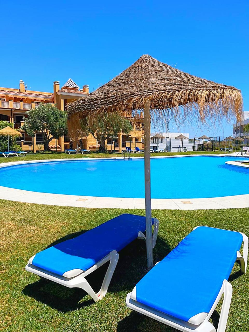 Day, Pool view, Swimming pool, sunbed