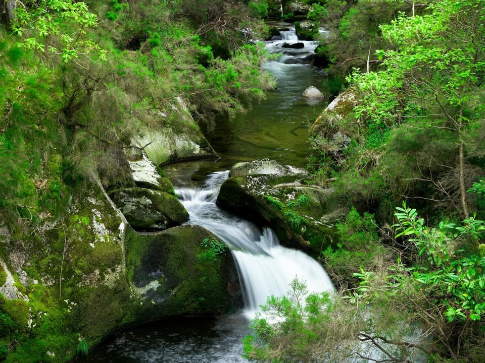 Nearby landmark, Spring, Natural landscape, River view
