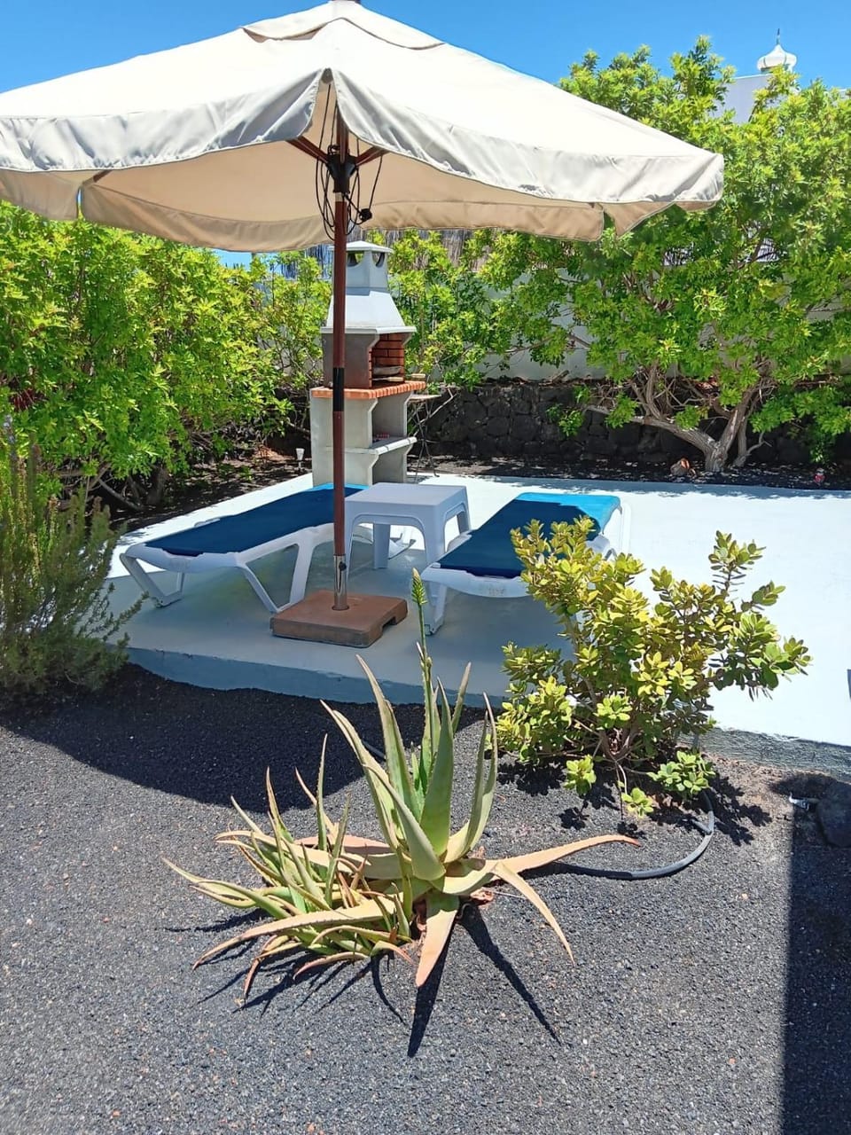 Garden view