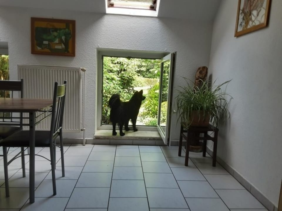FEWO Laubwald Apartment in Lower Saxony, Germany