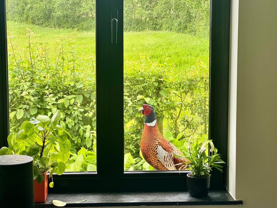 Tyne View Hideaway House in Flanders