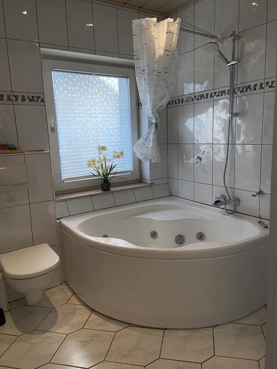 Shower, Toilet, Bathroom, Bath, towels