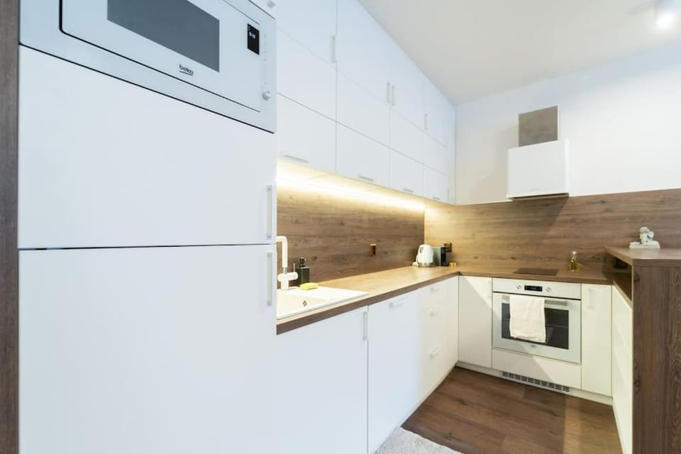 Elegant Studio in the Heart of Brno Apartment in Brno