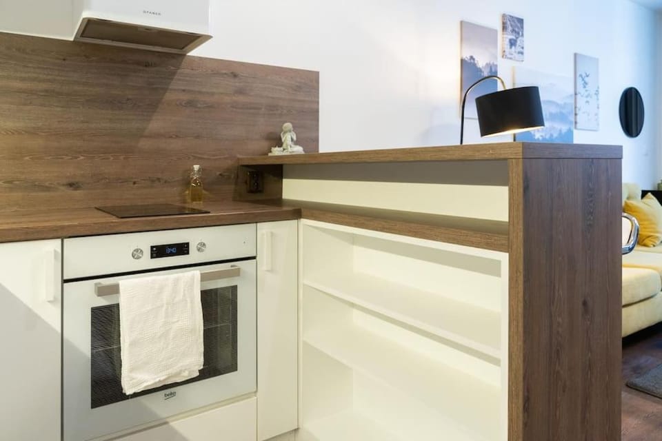 Elegant Studio in the Heart of Brno Apartment in Brno