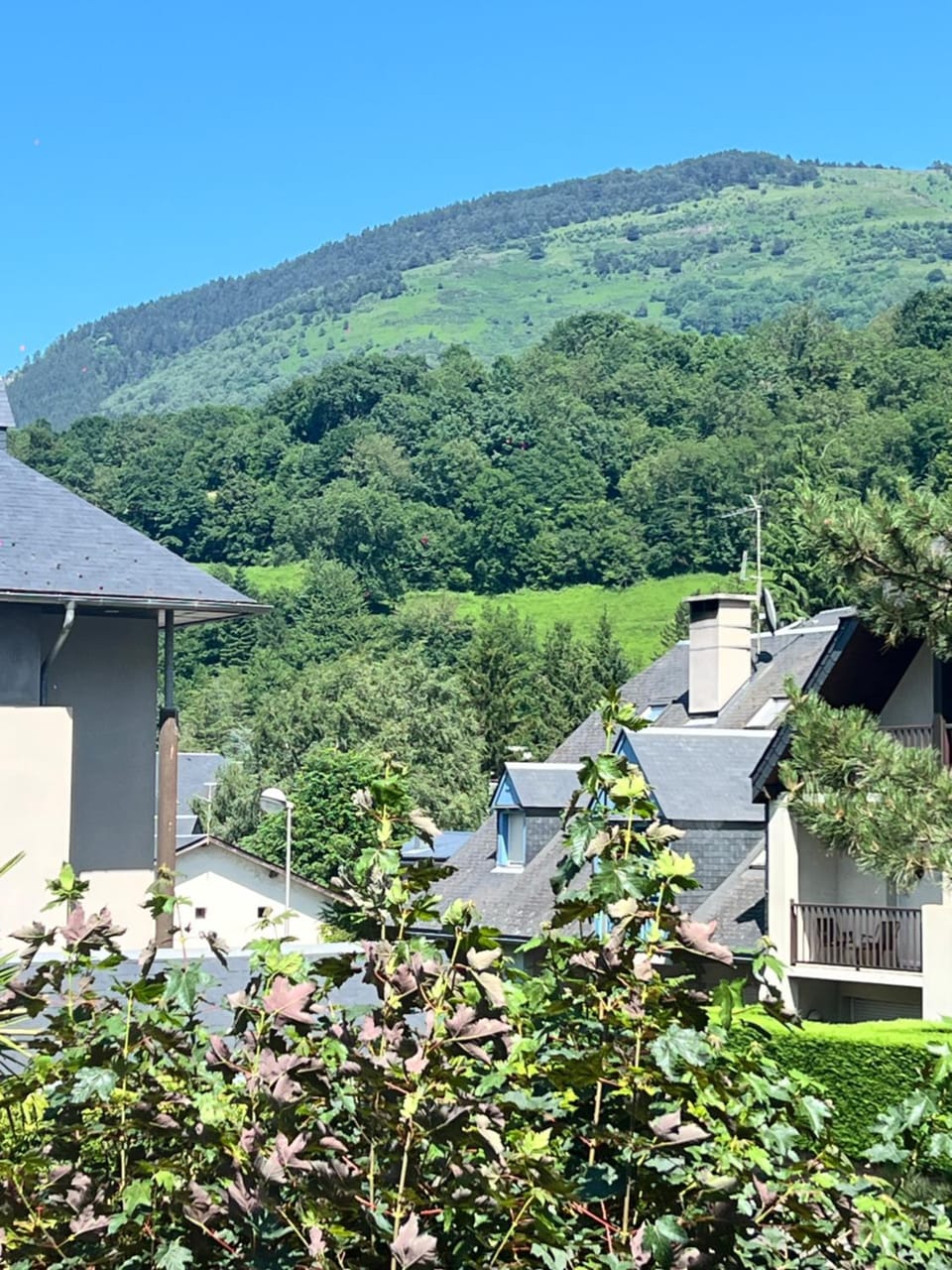 Mountain view