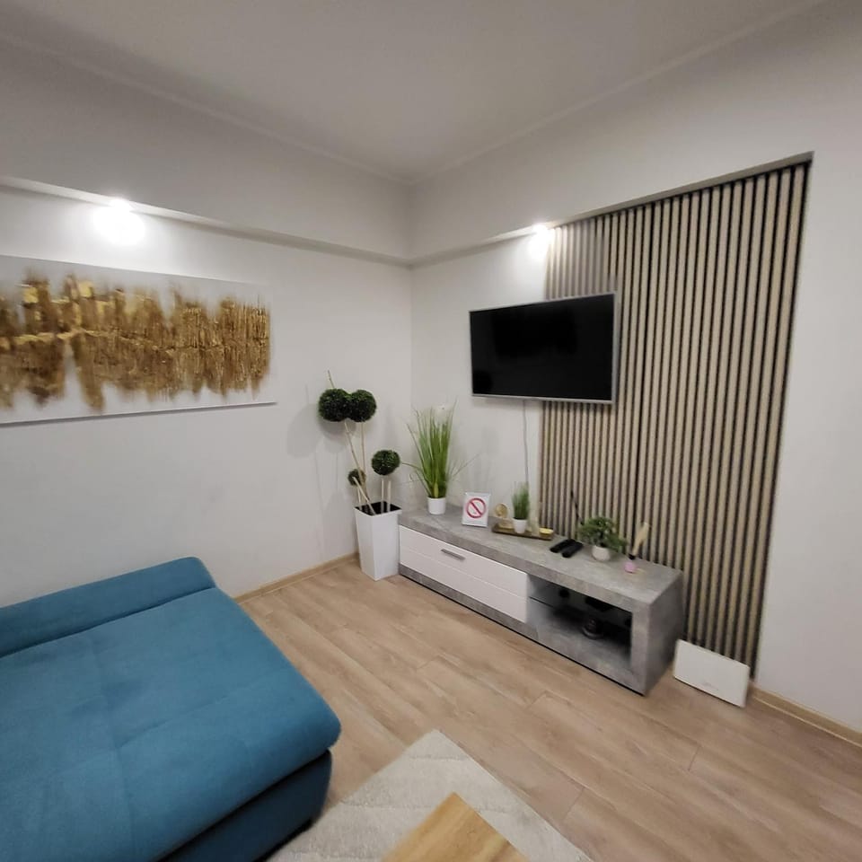 Apartman Centar Apartment in Novi Sad