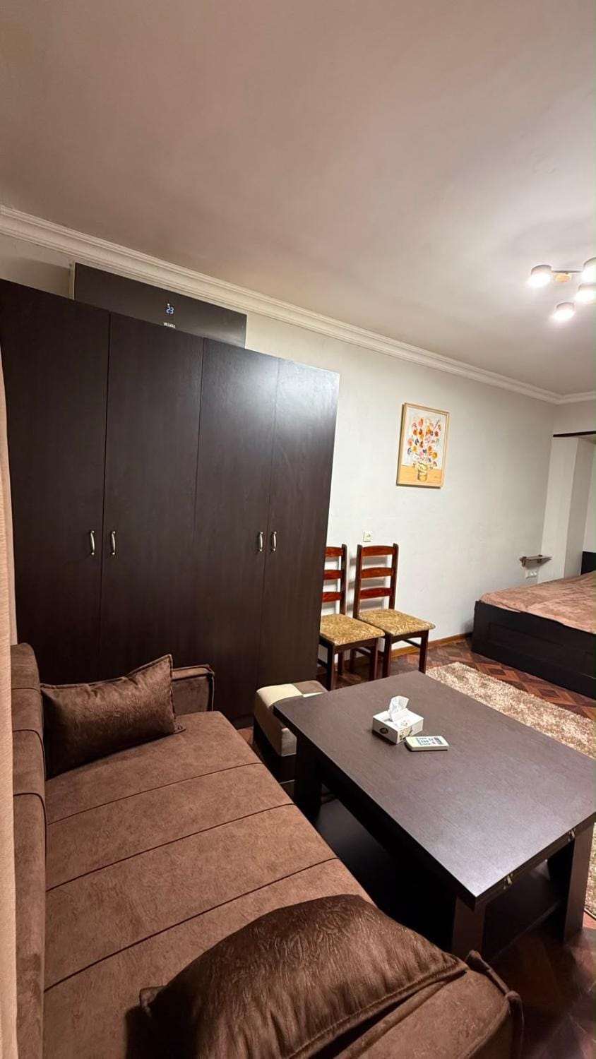 Opera walk Apartment in Yerevan