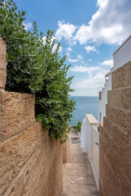 Marinaia - Casa Levante House in Apulia