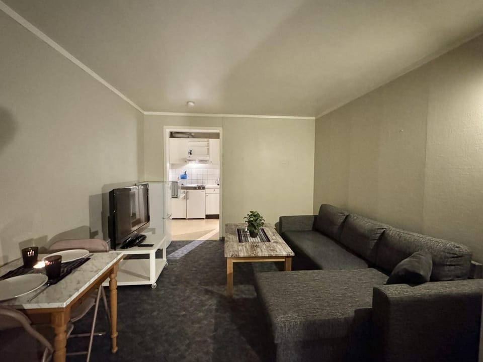 Studio apartment in center of Gol, towels and bed linen included Apartment in Viken, Norway