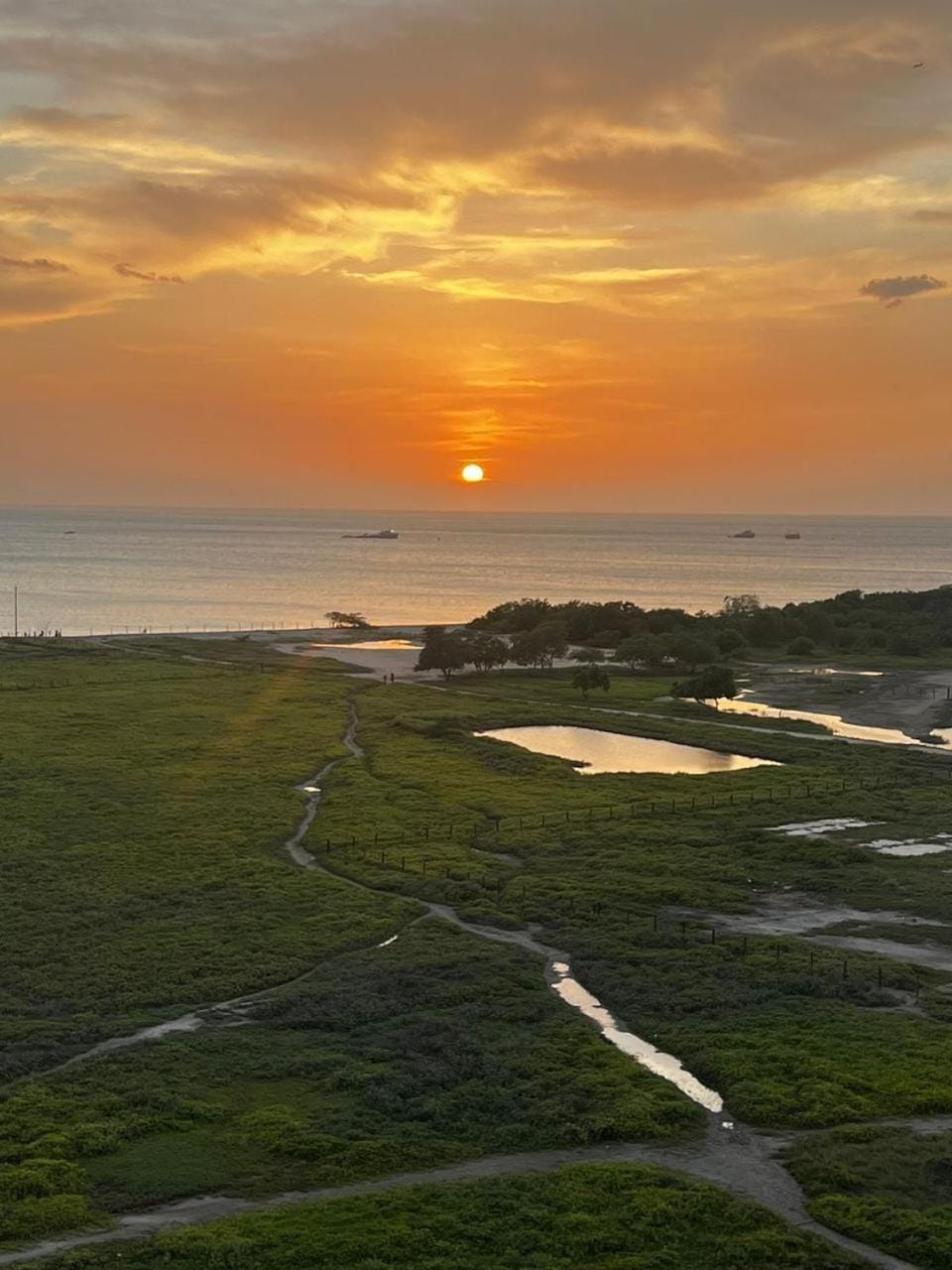 Natural landscape